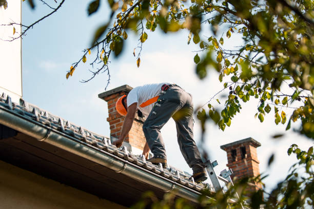Best Roof Gutter Cleaning  in San Juan, TX