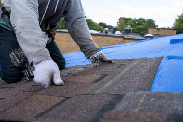 Best Metal Roofing Contractor  in San Juan, TX