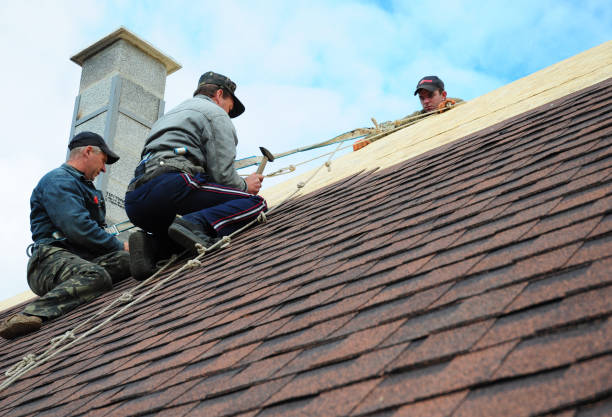Best Shingle Roofing Installation  in San Juan, TX